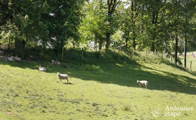 Vakantiehuis in Paliseul voor 4/5 personen in de Ardennen