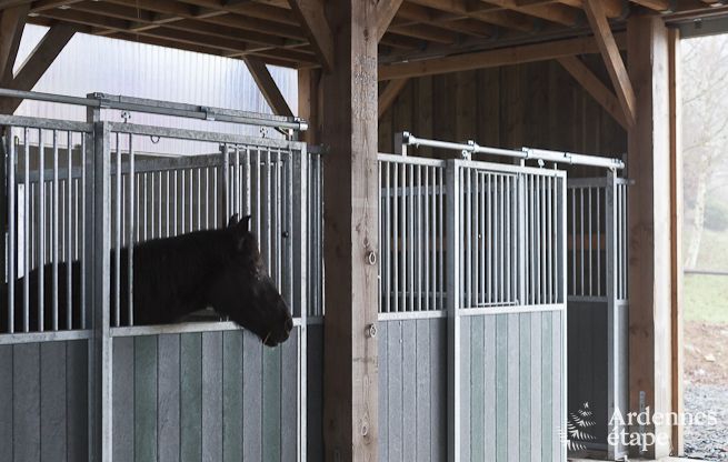 Vakantiehuis in Paliseul voor 4/5 personen in de Ardennen