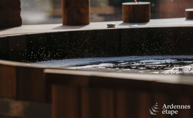 Luxe villa in Philippeville voor 18 personen in de Ardennen