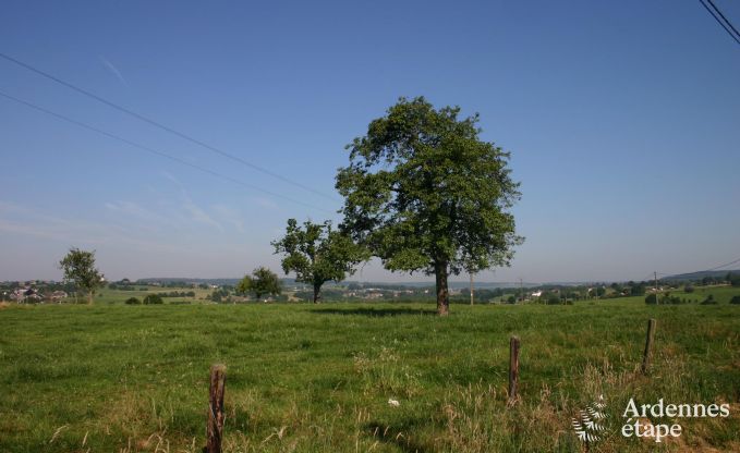 Vakantiehuis in Plombires voor 12 personen in de Ardennen
