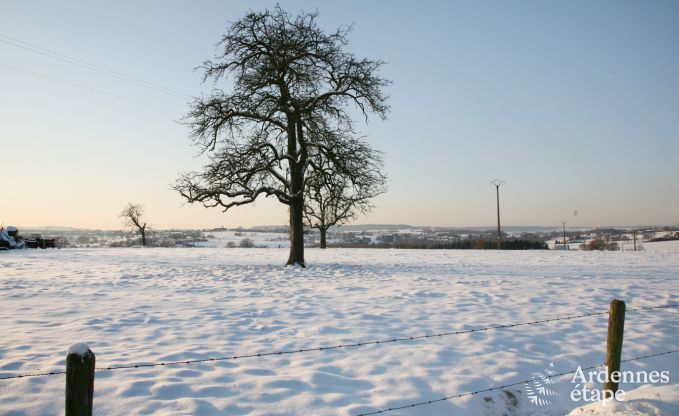 Vakantiehuis in Plombires voor 12 personen in de Ardennen