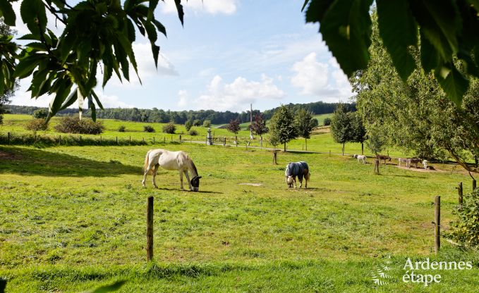 Vakantiehuis in Plombires voor 10 personen in de Ardennen