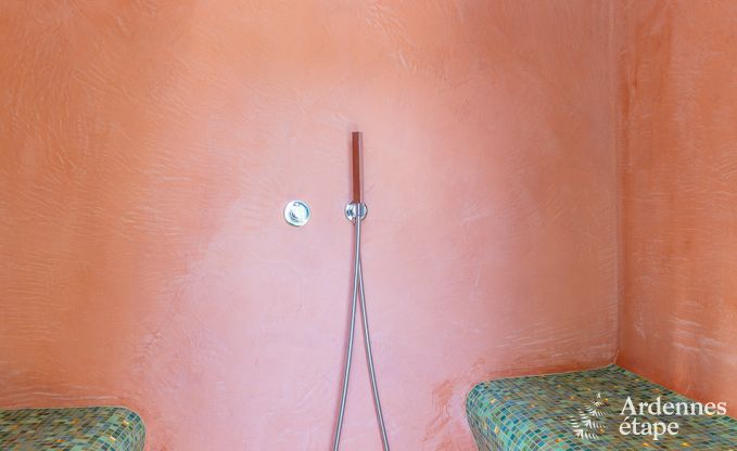 Luxe villa in Redu, Ardennen, 9 personen, buitenzwembad, sauna, stoombad, binnen- en buitenjacuzzi, privtuin, volledige uitrusting