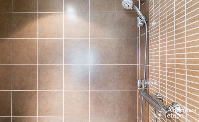 Vakantiehuis in Redu voor 15 personen in de Ardennen