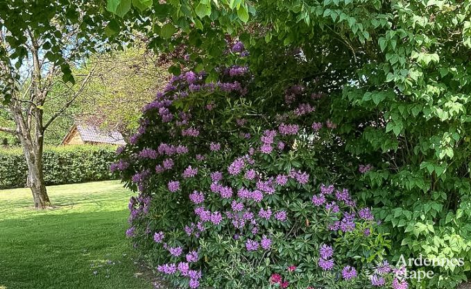 Vakantiehuis in Redu voor 15 personen in de Ardennen