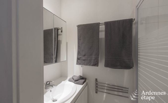 Cottage in Redu, Ardennen, 7 slaapkamers, 6 badkamers, 15 personen, noords bad, biljart, privé tuin, terras, oplaadpunt voor elektrische auto's