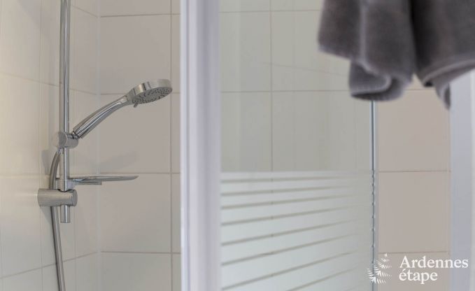 Cottage in Redu, Ardennen, 7 slaapkamers, 6 badkamers, 15 personen, noords bad, biljart, privé tuin, terras, oplaadpunt voor elektrische auto's