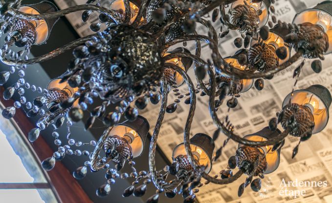 Luxe villa in Redu, Ardennen, 9 personen, buitenzwembad, sauna, stoombad, binnen- en buitenjacuzzi, privtuin, volledige uitrusting