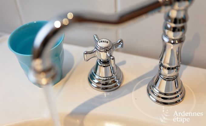 Vakantiehuis in Redu voor 12 personen in de Ardennen