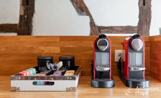 Vakantiehuis in Redu voor 15 personen in de Ardennen