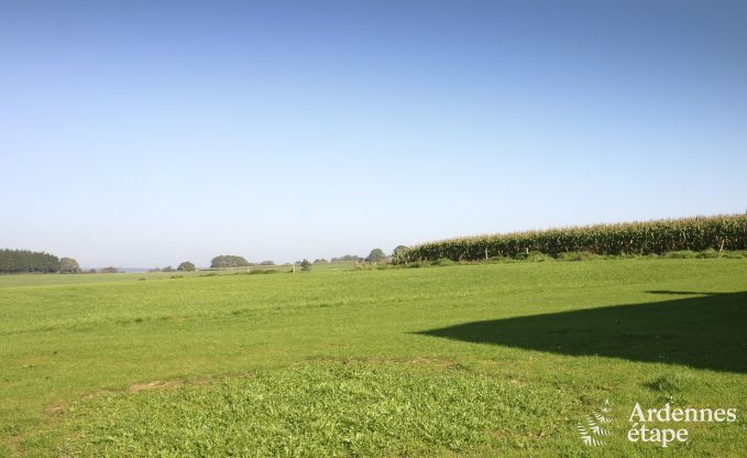 Vakantiehuis in Redu voor 6 personen in de Ardennen
