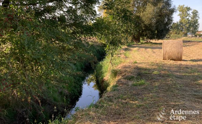 Gezellig vakantiehuis voor 5 personen in Remicourt met sauna, jacuzzi,  en fietsvoorzieningen