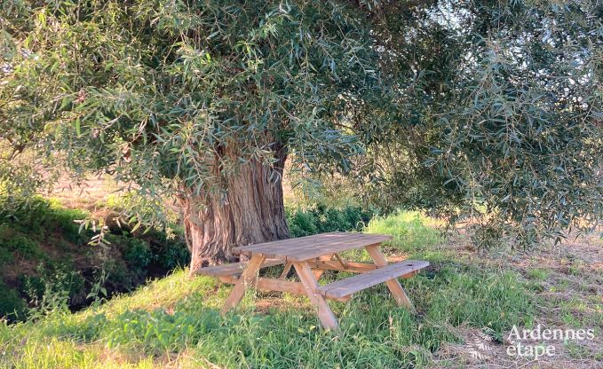 Gezellig vakantiehuis voor 5 personen in Remicourt met sauna, jacuzzi,  en fietsvoorzieningen