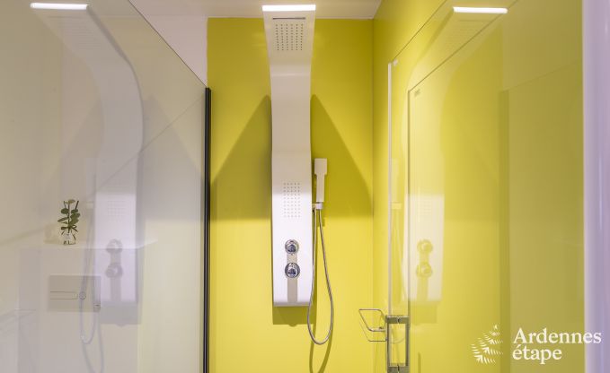 Luxe villa in Rendeux voor 8 personen in de Ardennen