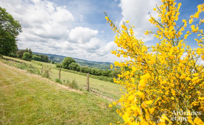 Vakantiehuis in Rendeux voor 10 personen in de Ardennen