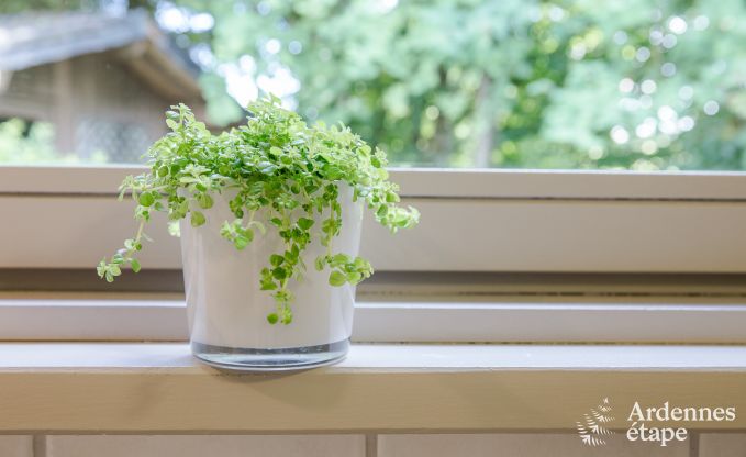 Vakantiehuis in Robertville voor 6 personen in de Ardennen