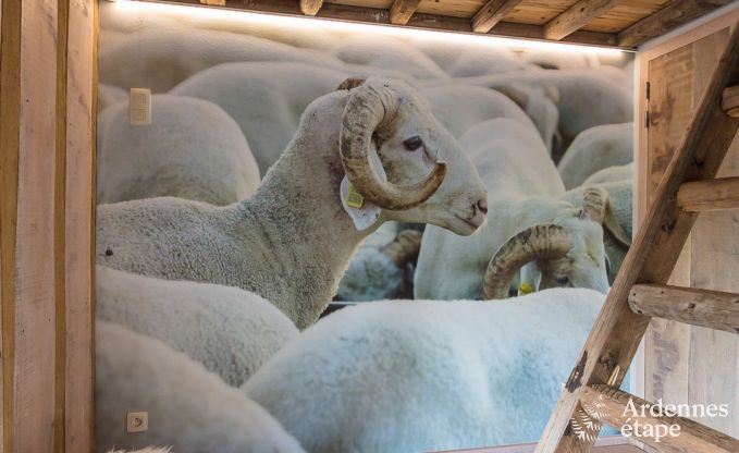 Vakantiehuis in Robertville voor 9 personen in de Ardennen