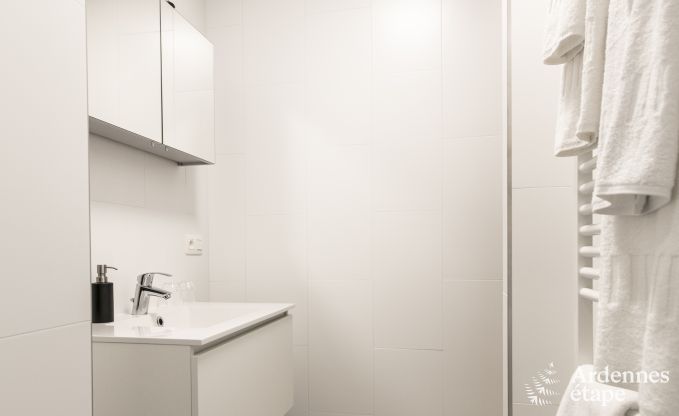 Vakantiehuis in Rochefort voor 10 personen in de Ardennen