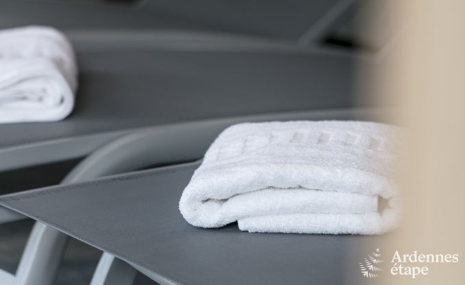 Vakantiehuis in Rochefort voor 10 personen in de Ardennen