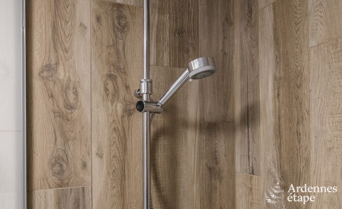 Vakantiehuis in Rochefort voor 10 personen in de Ardennen