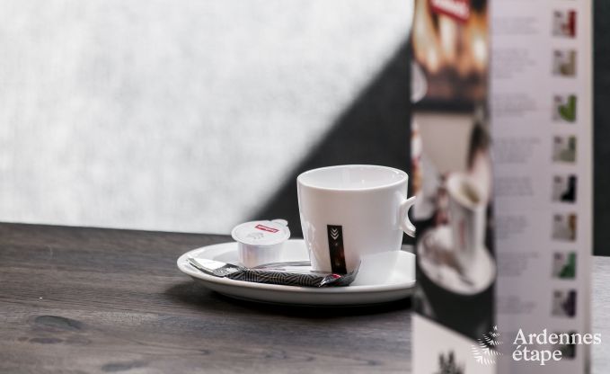 Vakantiehuis in Rochefort voor 10 personen in de Ardennen