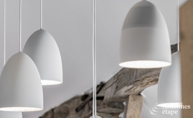 Vakantiehuis in Rochefort voor 10 personen in de Ardennen