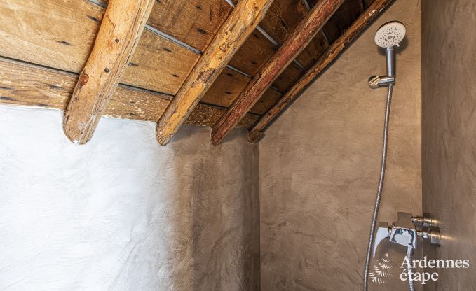 Vakantiehuis in Rochefort voor 12/14 personen in de Ardennen