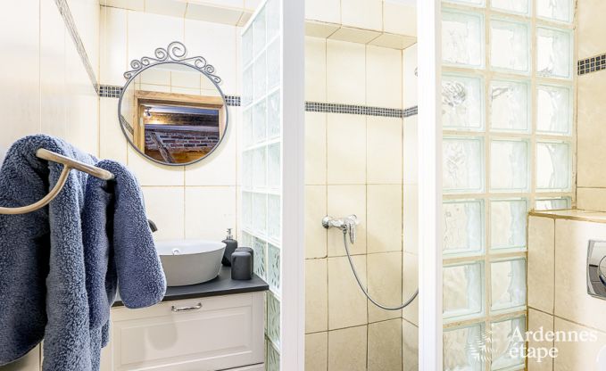 Vakantiehuis in Rochefort voor 12 personen in de Ardennen