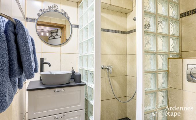 Vakantiehuis in Rochefort voor 12 personen in de Ardennen