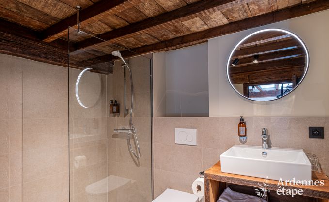 Grote vakantiewoning in Rochefort voor 25 personen met 11 slaapkamers, 11 badkamers, sauna en bar