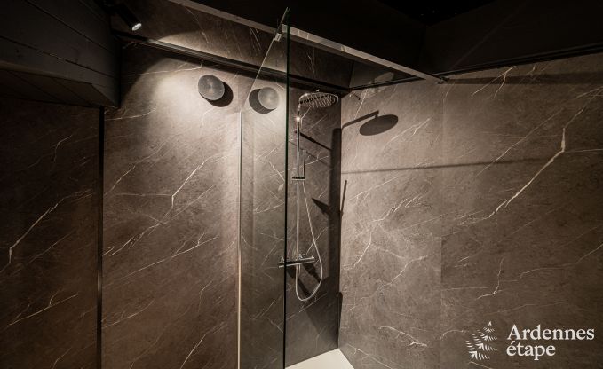 Luxe in Rochehaut: ruime accommodatie voor 14 personen met binnenzwembad en prachtig uitzicht