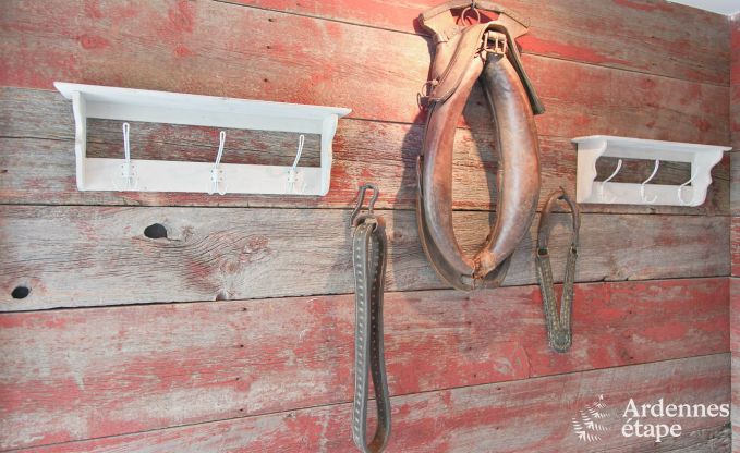 Vakantiehuis in Saint-Hubert (Awenne) voor 8 personen in de Ardennen