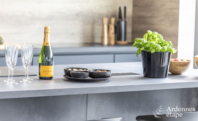 Luxe villa in Saint-Hubert voor 8/12 personen in de Ardennen