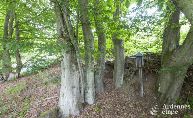 Luxe villa in Saint- Hubert voor 18/20 personen in de Ardennen