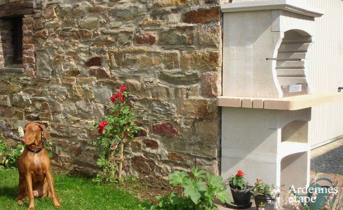 Vakantiehuis in Saint-Hubert voor 8 personen in de Ardennen