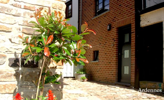 Vakantiehuis in Saint-Hubert voor 8 personen in de Ardennen