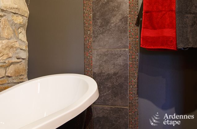 Vakantiehuis in Saint-Hubert voor 8/9 personen in de Ardennen