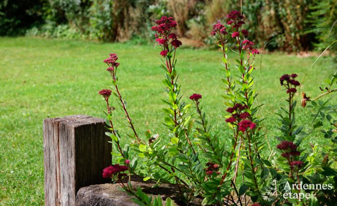 Vakantiehuis in Saint-Hubert voor 24/30 personen in de Ardennen