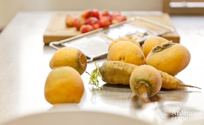 Vakantiehuis in Saint-Hubert voor 24/30 personen in de Ardennen