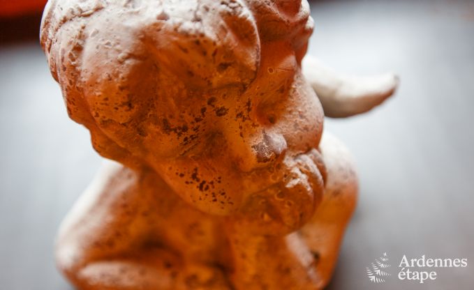 Vakantiehuis in Saint-Hubert voor 8/9 personen in de Ardennen