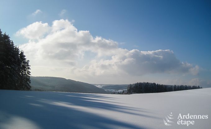 Vakantiehuis in Saint-Vith voor 15 personen in de Ardennen