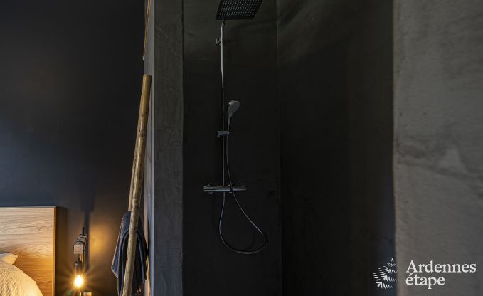 Villa in Sainte-Ode voor 14 personen met zwembad, hottub, sauna, bar en cinema