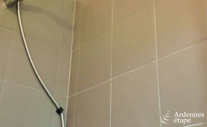 Vakantiehuis in Sainte-Ode: oase van rust voor 8 personen met terras en tuin in de Ardennen