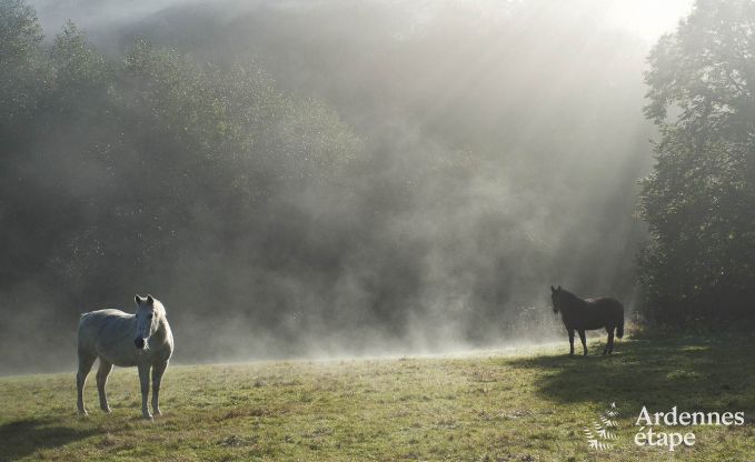 Vakantiehuis in Sivry voor 6 personen in de Ardennen