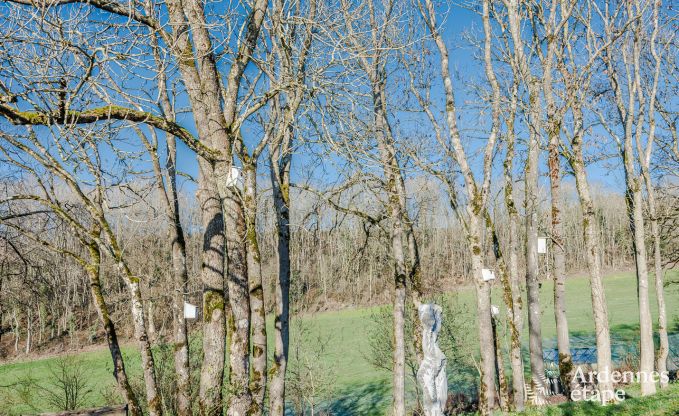 Eigentijdse woning in Somme - Leuze voor 8 personen in de Ardennen