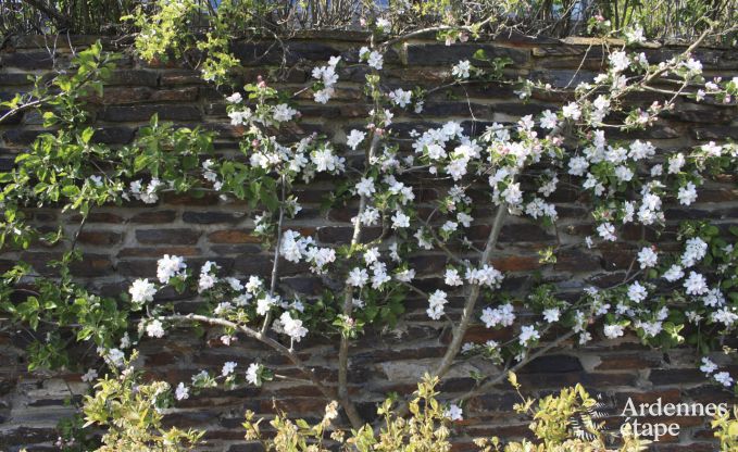 Eigentijdse woning in Somme - Leuze voor 8 personen in de Ardennen