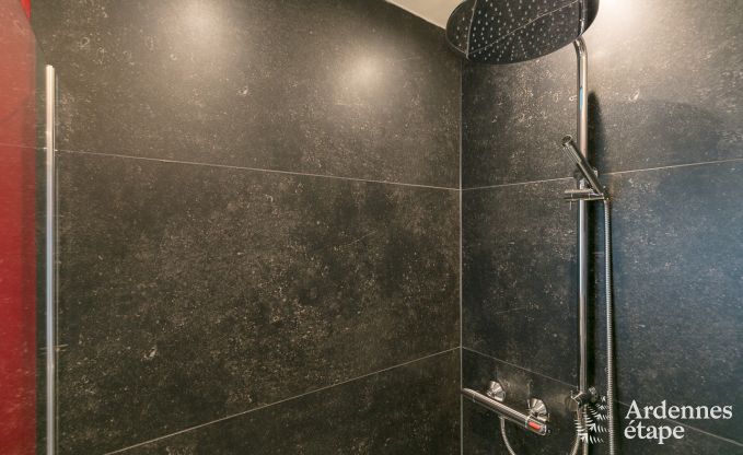 Chalet in Somme - Leuze voor 4/6 personen in de Ardennen