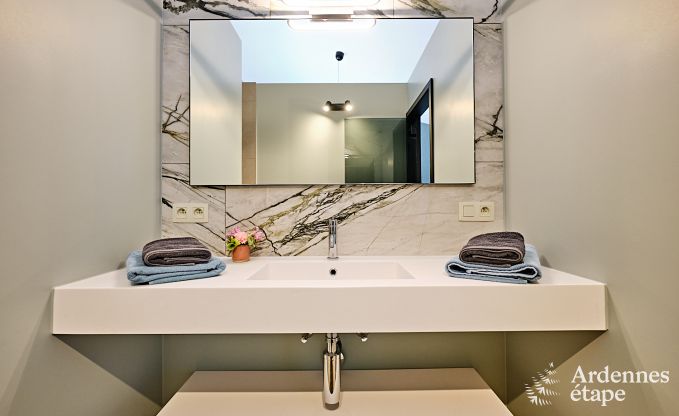 Ultramoderne villa in Somme-Leuze voor 12 personen met binnenzwembad, sauna en privtuin