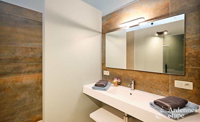 Ultramoderne villa in Somme-Leuze voor 12 personen met binnenzwembad, sauna en privtuin