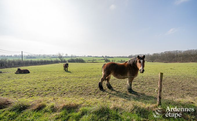 Comfortabel vakantiehuis in Somme-Leuze, nabij Durbuy